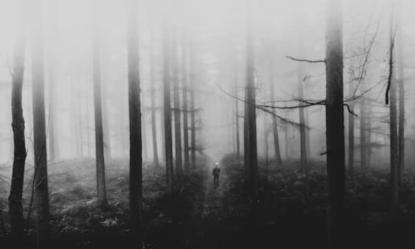 Travma ve Stres Etkenleri ile İlişkili Bozukluklar - Uzm. Dr. Turan Çetin